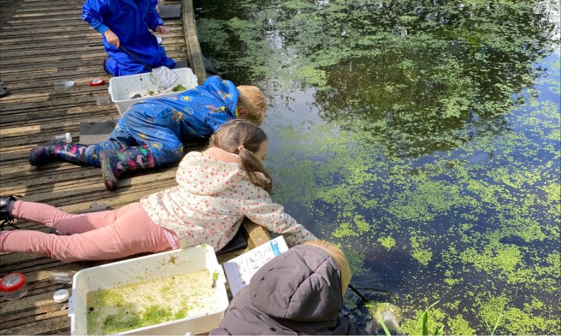 children pond dipping