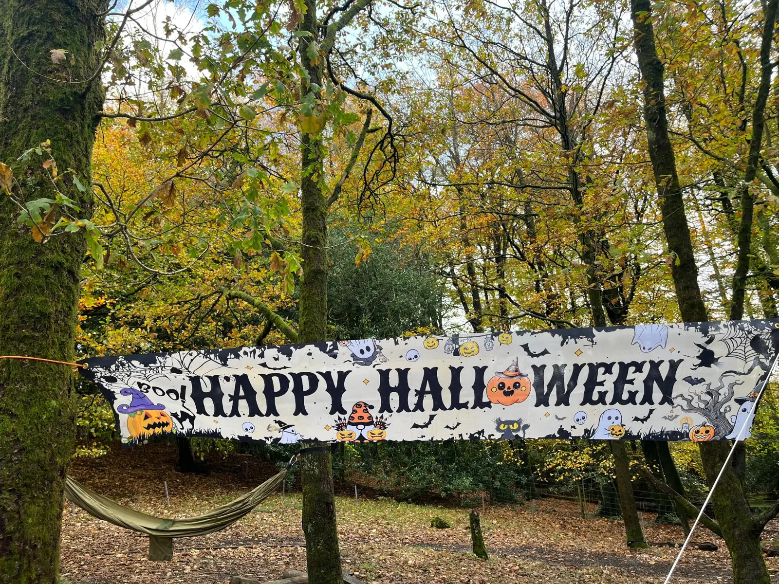 PHOTO 2025 10 30 16 06 42